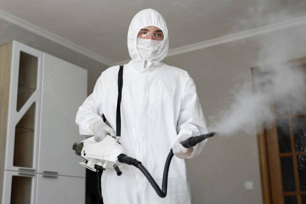  Crawford, GA Mold Removal Pros